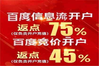 竞价SEM案例解析：电商行业营销策略